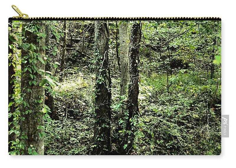 Golden Silence In The Forest Zip Pouch featuring the photograph Golden Silence in the Forest by Maria Urso