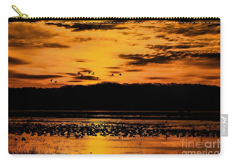Snow Geese Zip Pouch featuring the photograph Golden Silhouettes by Elizabeth Winter