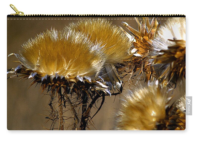 Wild Flowers Zip Pouch featuring the photograph Golden Thistle by Bill Gallagher
