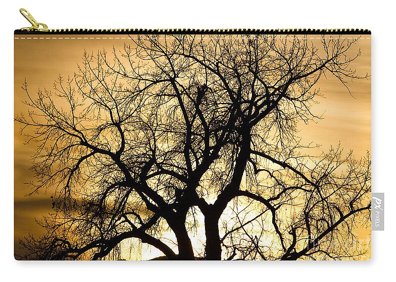 Trees Zip Pouch featuring the photograph Golden Tree Sunset Silhouette by James BO Insogna