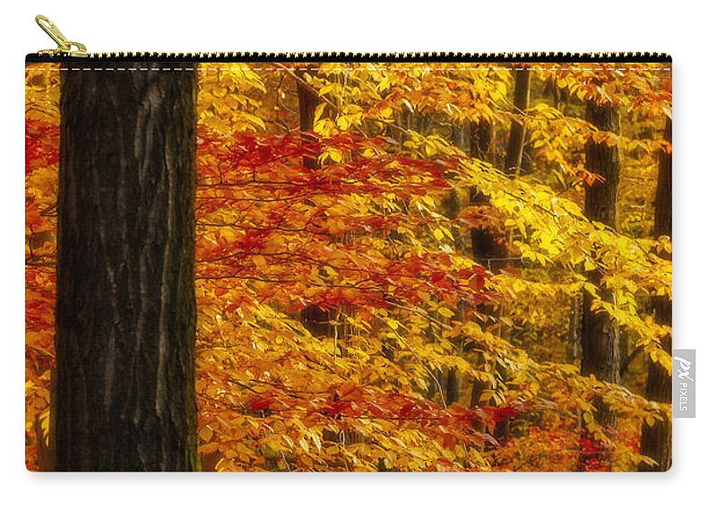 Autumn Zip Pouch featuring the photograph Golden Trees Glowing by Susan Candelario