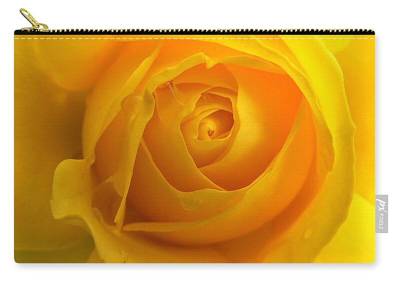 Rose Zip Pouch featuring the photograph Golden Yellow Rose and Black by Jennie Marie Schell