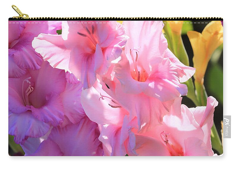 Gladiolus In Morning Sunshine Zip Pouch featuring the photograph Good Morning Gladiolus by Carol Groenen