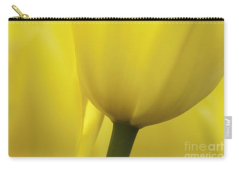Tulip Carry-all Pouch featuring the photograph Good Morning Sunshine by Patty Colabuono