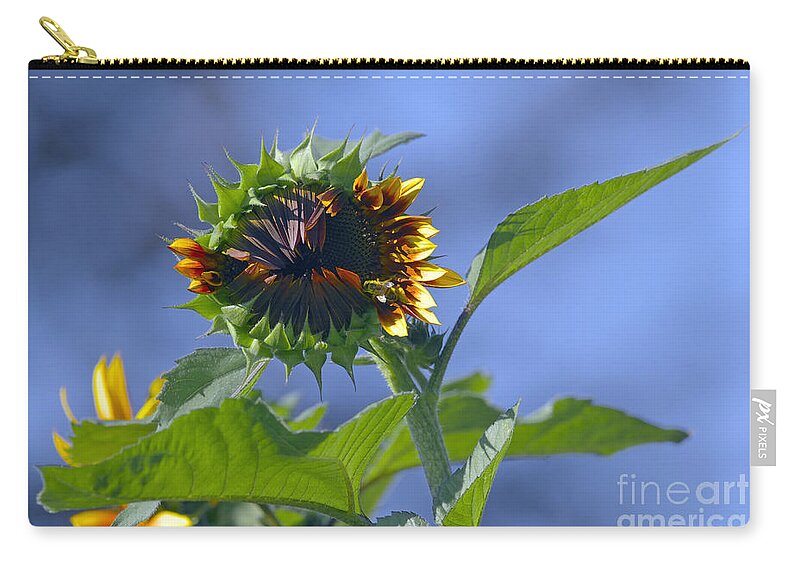 Sunflower Zip Pouch featuring the photograph Good Morning Sunshine by Sharon Talson