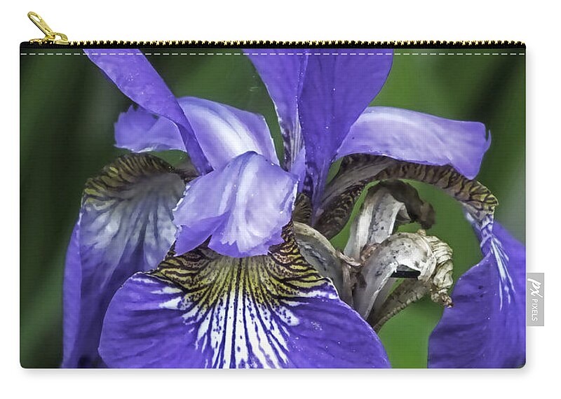 Iris Zip Pouch featuring the photograph Gorgeous Iris by Lucinda Walter
