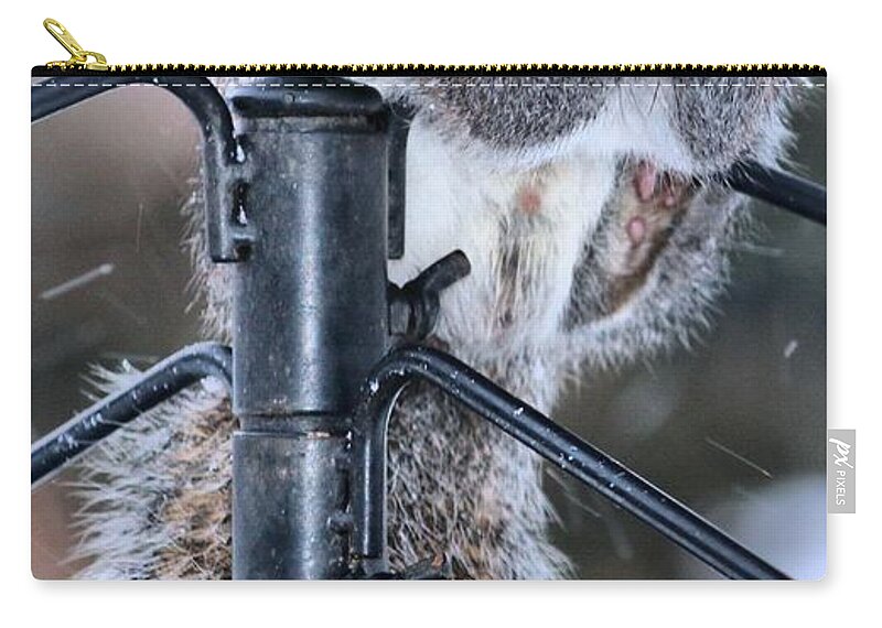 Squirrel Zip Pouch featuring the photograph Got to love Them by Carol Montoya