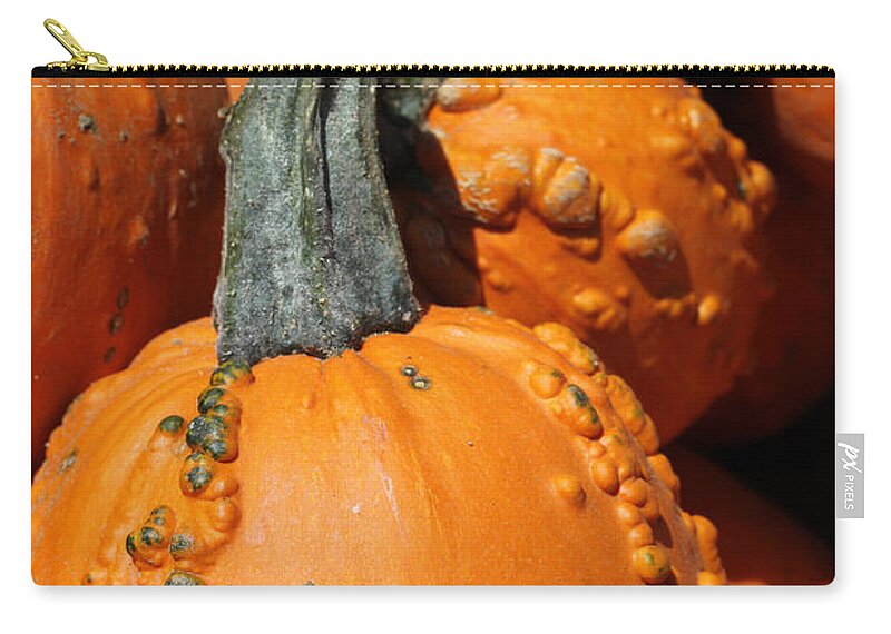 Gourd Zip Pouch featuring the photograph Gourd by Mary Bedy