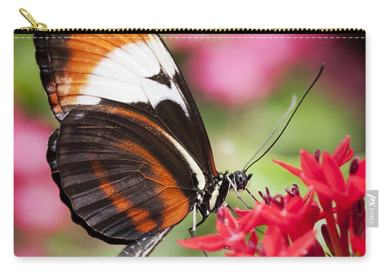 Butterfly Carry-all Pouch featuring the photograph Grace by Patty Colabuono
