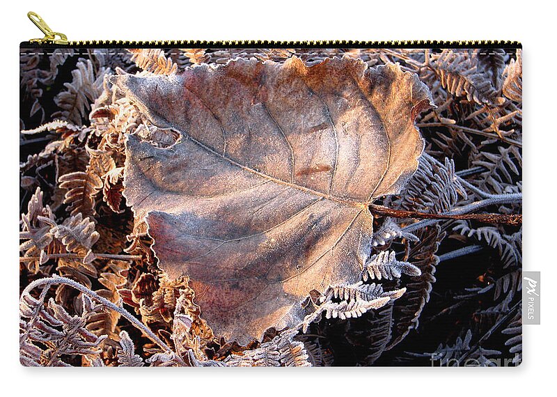 Fall Zip Pouch featuring the photograph Graced By Frost by Rory Siegel