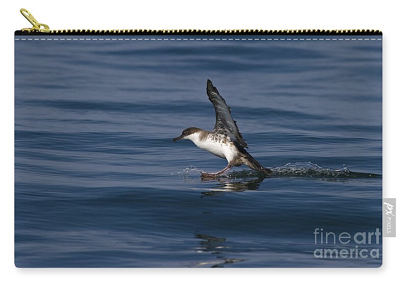 Festblues Zip Pouch featuring the photograph Graceful Touchdown... by Nina Stavlund