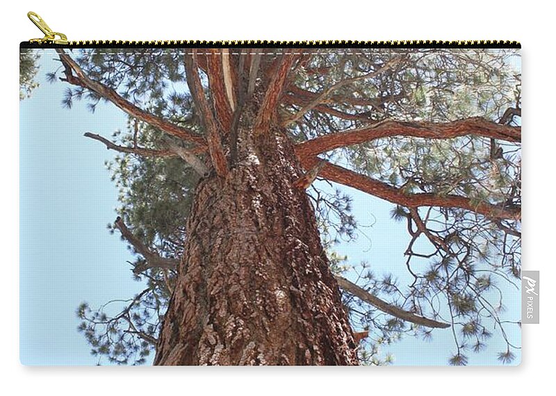 Mt. Whitney Zip Pouch featuring the photograph Graceful Tree by Amy Gallagher