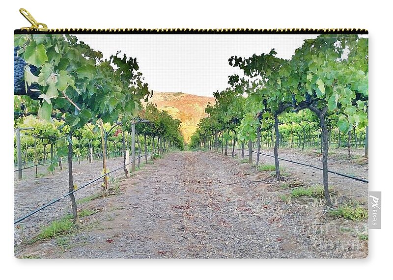 Grapes Zip Pouch featuring the photograph Grape Vines by Bridgette Gomes