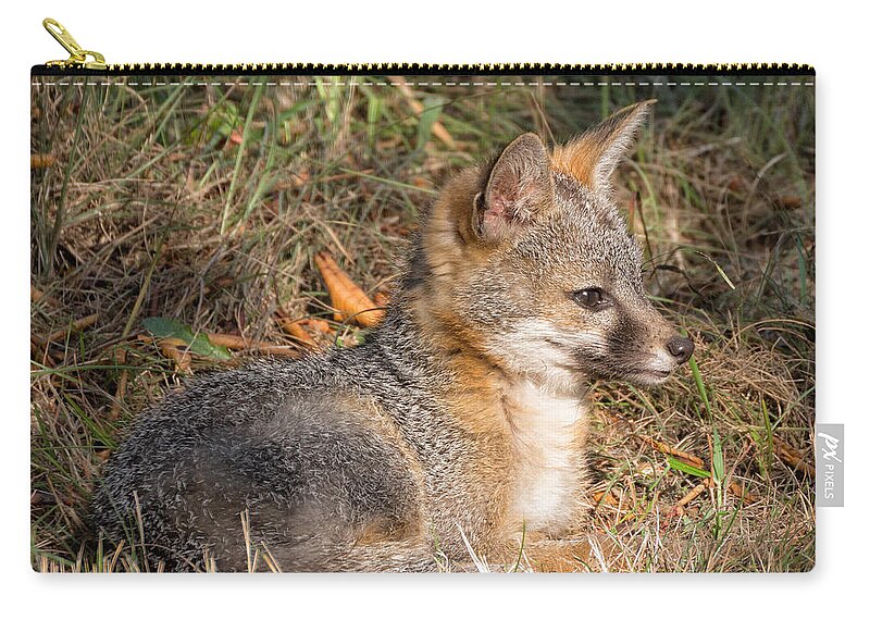 Foxes Zip Pouch featuring the photograph Gray Fox Kit by Kathleen Bishop