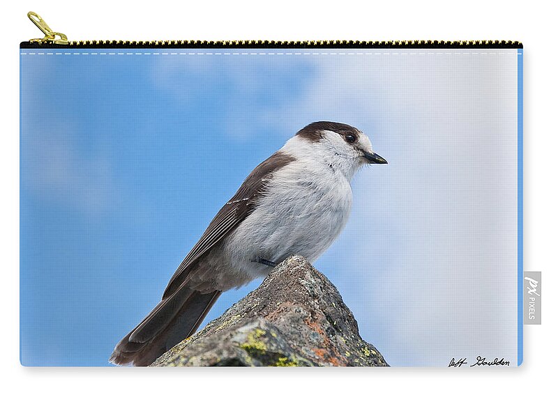 Animal Carry-all Pouch featuring the photograph Gray Jay With Blue Sky Background by Jeff Goulden