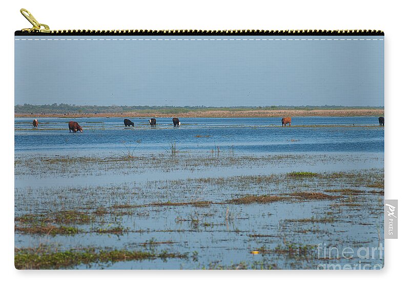 Cattle Zip Pouch featuring the photograph Grazing the river by Photos By Cassandra