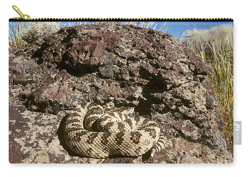 Animal Zip Pouch featuring the photograph Great Basin Rattlesnake by Karl H. Switak