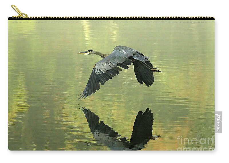 Blue Zip Pouch featuring the photograph Great Blue Fly-by by Douglas Stucky