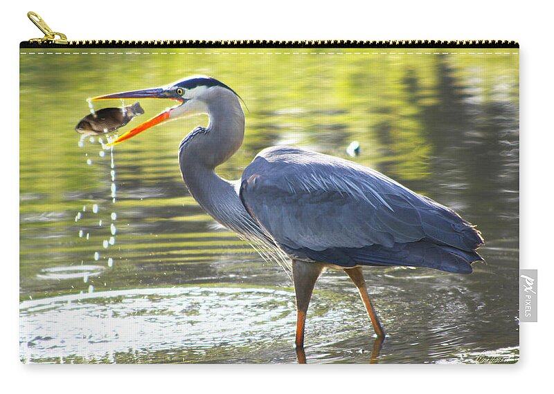 Great Zip Pouch featuring the photograph Great Blue Heron Catching Fish by Diana Haronis