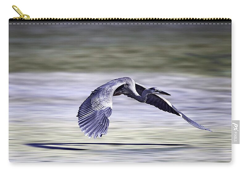 Great Blue Heron Zip Pouch featuring the photograph Great Blue Heron in Flight by John Haldane