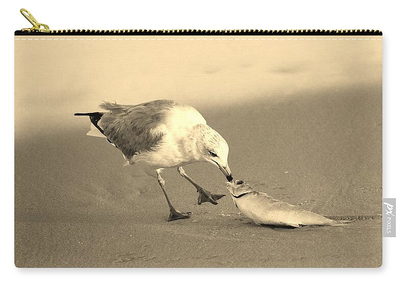 Ring-billed Gull Zip Pouch featuring the photograph Great Catch With Fish by Cynthia Guinn