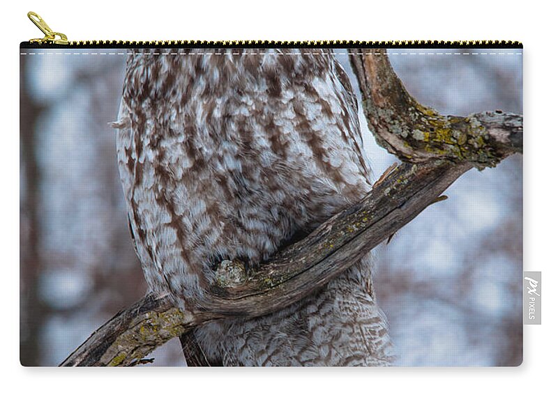 Owls Zip Pouch featuring the photograph Great Gray on Guard by Cheryl Baxter