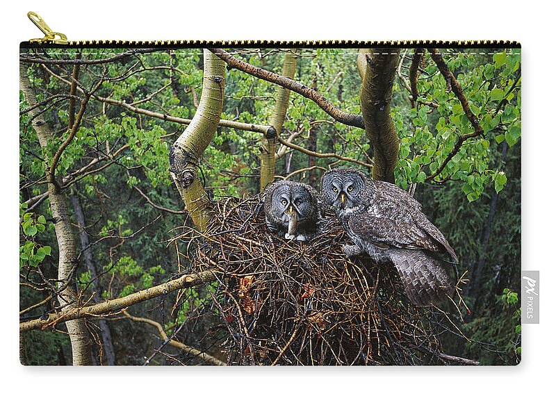 Feb0514 Zip Pouch featuring the photograph Great Gray Owl Pair Nesting by Michael Quinton