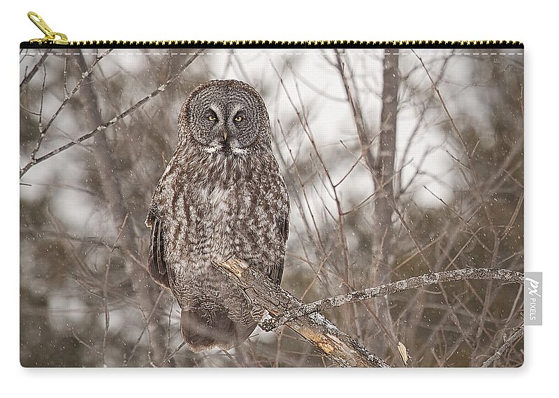 Owl Zip Pouch featuring the photograph Great Grey Owl by Eunice Gibb