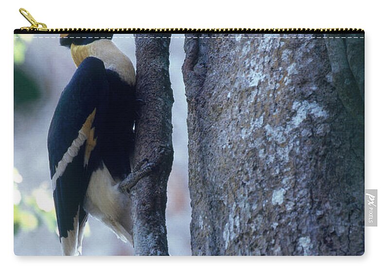 Great Indian Hornbill Zip Pouch featuring the photograph Great Hornbill by Art Wolfe