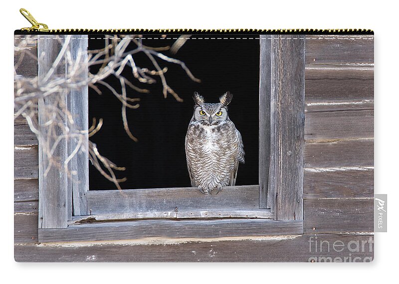 New Mexico Fauna Zip Pouch featuring the photograph Great Horned Owl by Jim Zipp