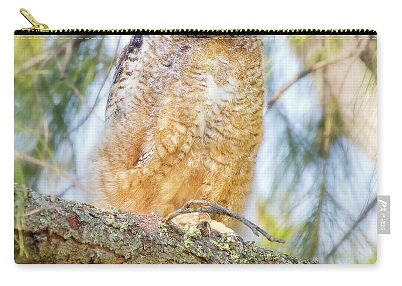 Animal Themes Zip Pouch featuring the photograph Great Horned Owlet by Kristian Bell