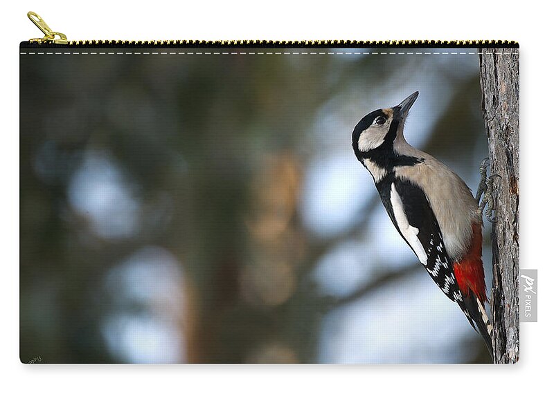 Great Spotted Woodpecker Carry-all Pouch featuring the photograph Great Spotted Woodpecker by Torbjorn Swenelius