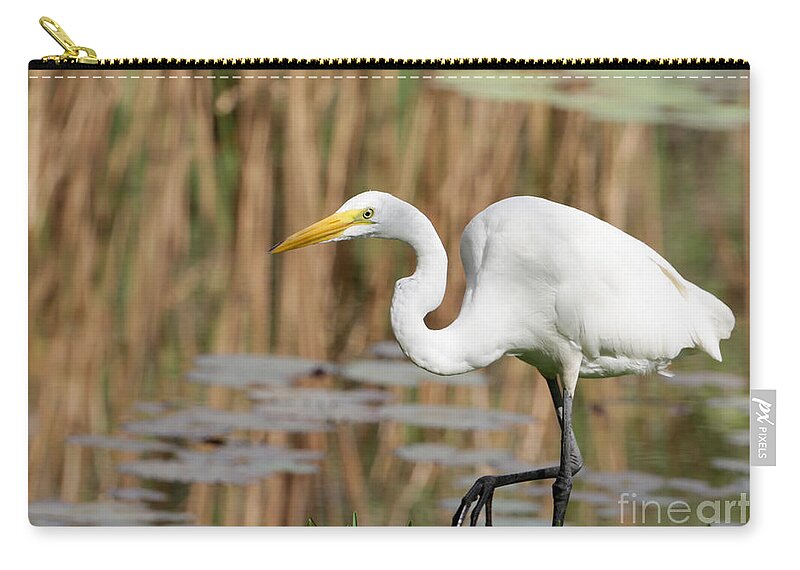 Egret Zip Pouch featuring the photograph Great White Egret by the River by Sabrina L Ryan
