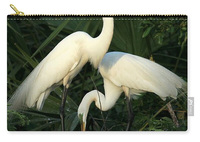 Art Zip Pouch featuring the photograph Great White Egret Mates by Sabrina L Ryan