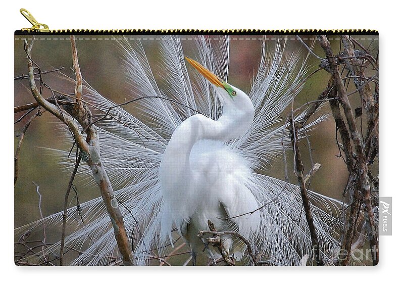 Birds Zip Pouch featuring the photograph Great White Egret With Breeding Plumage by Kathy Baccari