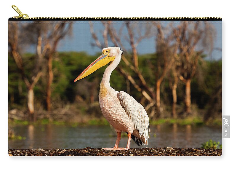 Eco Tourism Zip Pouch featuring the photograph Great White Pelican, Pelecanus by Anton Petrus