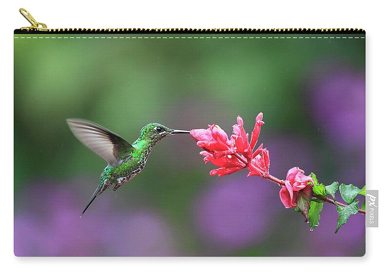 Animal Themes Zip Pouch featuring the photograph Green-crowned Brilliant Feeding From by Mlorenzphotography