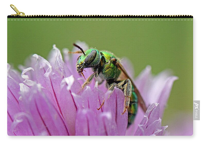 Insects Zip Pouch featuring the photograph Green Envy by Jennifer Robin