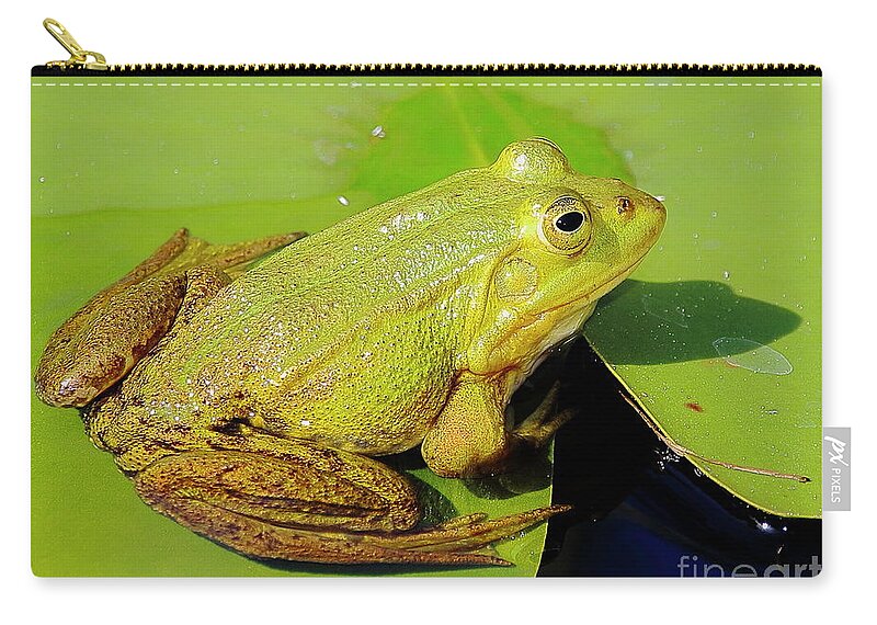 Frogs Carry-all Pouch featuring the photograph Green Frog 2 by Amanda Mohler