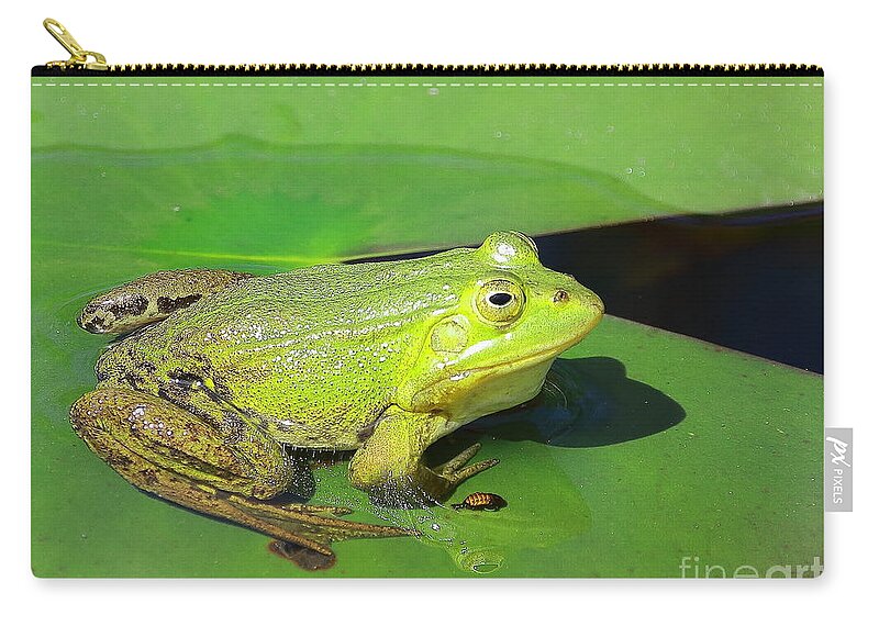 Frogs Zip Pouch featuring the photograph Green Frog by Amanda Mohler