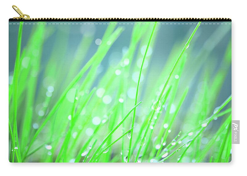 Grass Zip Pouch featuring the photograph Green Grass Background by Alubalish