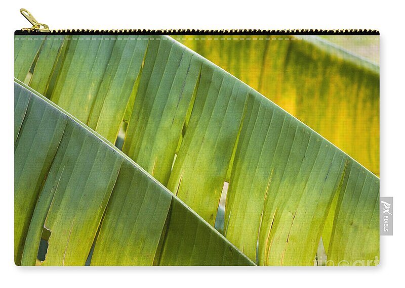 Heiko Zip Pouch featuring the photograph Green Leaves Series 14 by Heiko Koehrer-Wagner