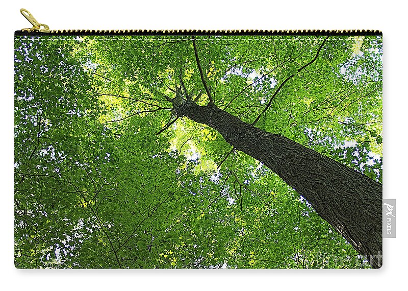 Tree Zip Pouch featuring the photograph Green Maple Canopy by Barbara McMahon