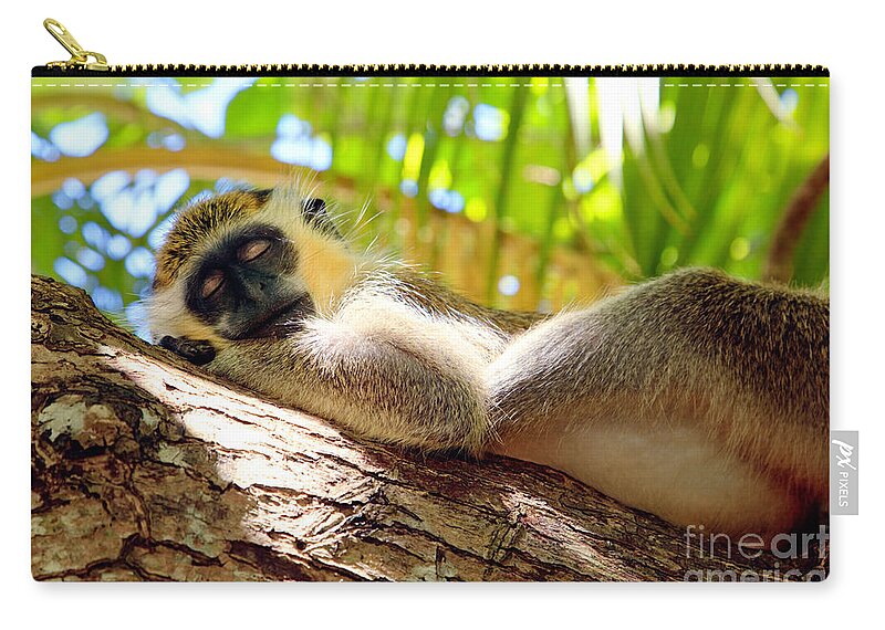 Animal Zip Pouch featuring the photograph Green monkey sleeping on tree by Matteo Colombo