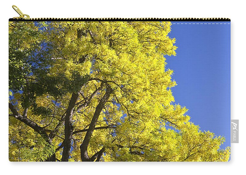 Autumn Carry-all Pouch featuring the photograph Green Orange Yellow and Blue by James BO Insogna