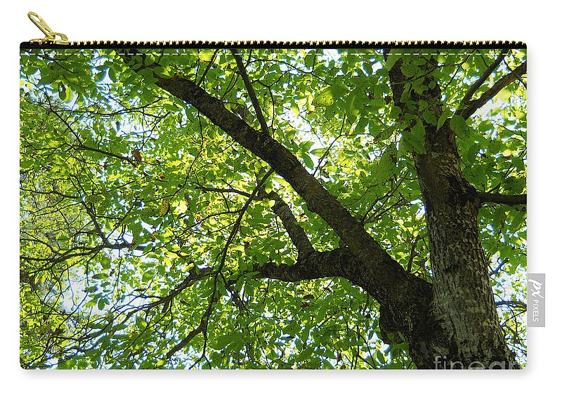 Green Zip Pouch featuring the photograph Green by Ramona Matei