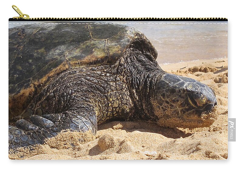Green Zip Pouch featuring the photograph Green Sea Turtle 2 - Kauai by Shane Kelly