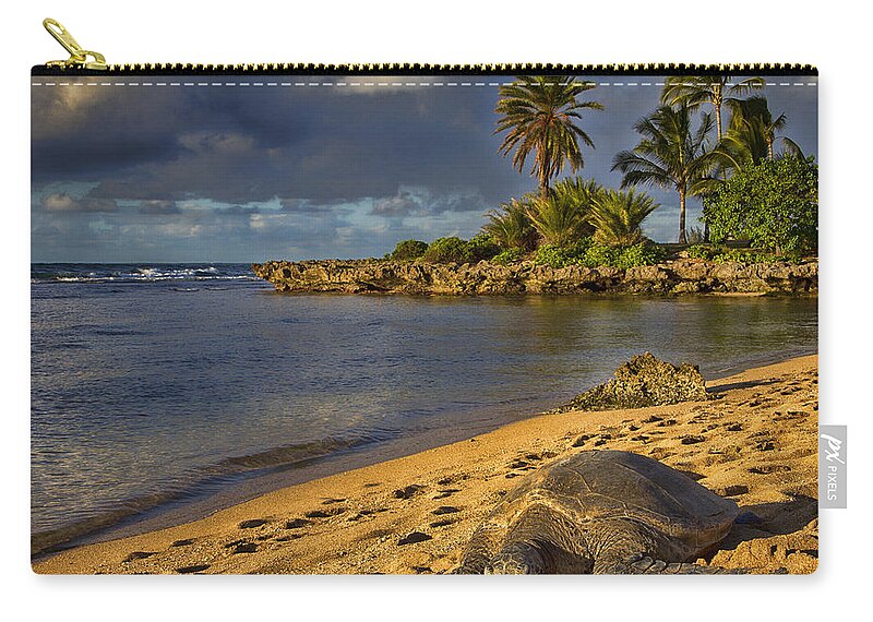 Green Sea Turtle Zip Pouch featuring the photograph Green Sea Turtle at Sunset by Douglas Barnard