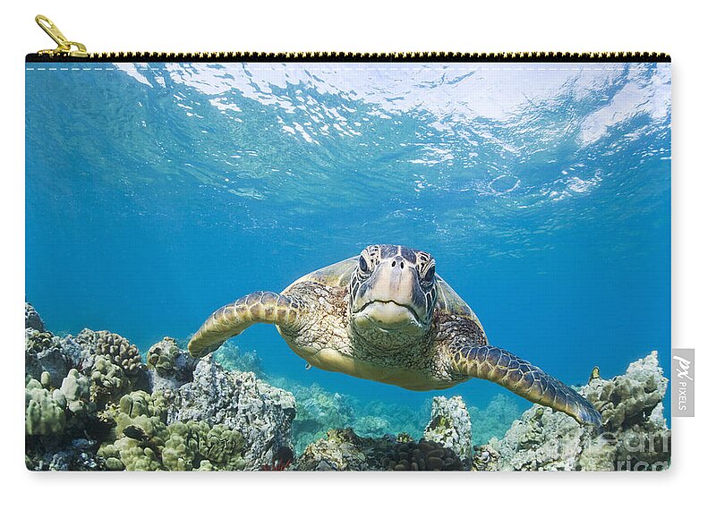 Animal Zip Pouch featuring the photograph Green Sea Turtle over Reef by M Swiet Productions