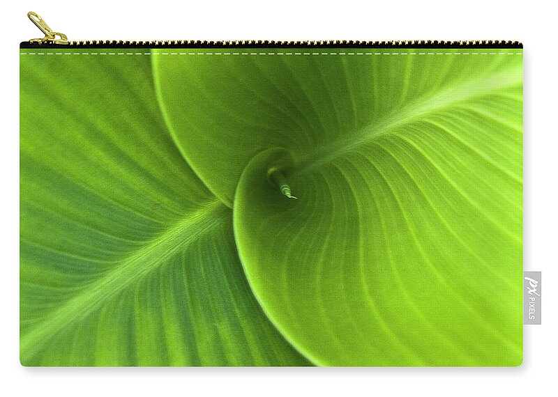 Heiko Zip Pouch featuring the photograph Green Twin Leaves by Heiko Koehrer-Wagner